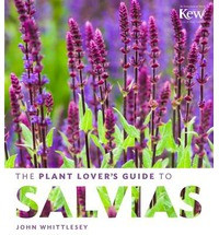 THE PLANT LOVER S GUIDE TO SALVIAS