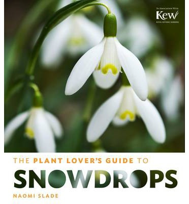THE PLANT LOVER S GUIDE TO SNOWDROPS
