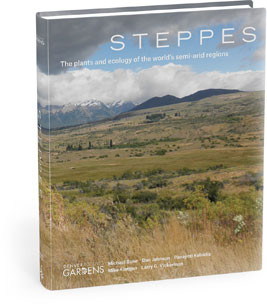 STEPPES