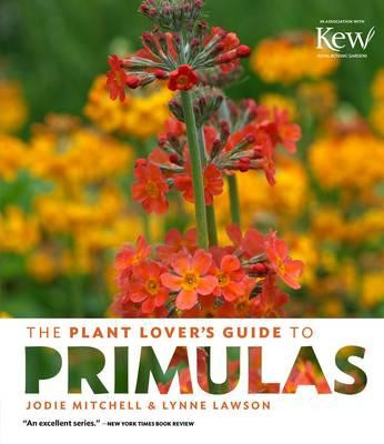THE PLANT LOVER S GUIDE TO PRIMULAS