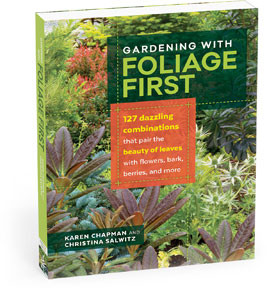 GARDENING WITH FOLIAGE FIRST