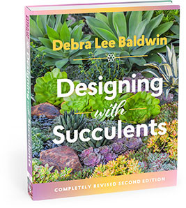 DESIGNING WITH SUCCULENTS