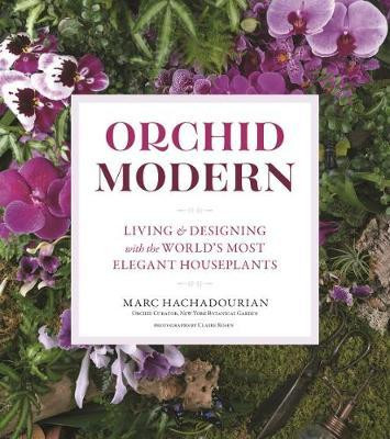 ORCHID MODERN