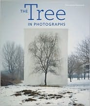 THE TREE IN PHOTOGRAPHS