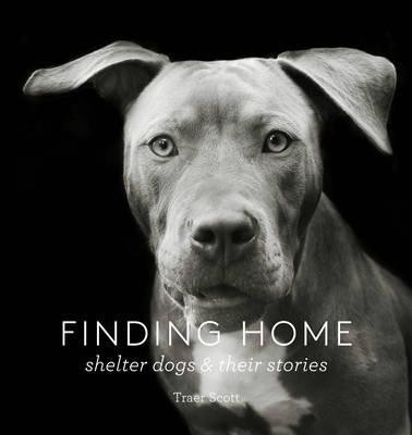 FINDING HOME