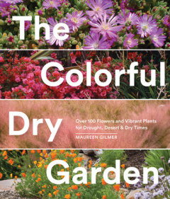 THE COLORFUL DRY GARDEN