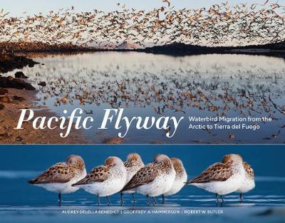 PACIFIC FLYWAY