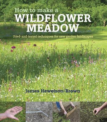 HOW TO MAKE A WILDFLOWER MEADOW