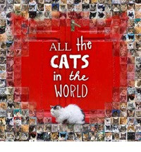 ALL THE CATS IN THE WORLD