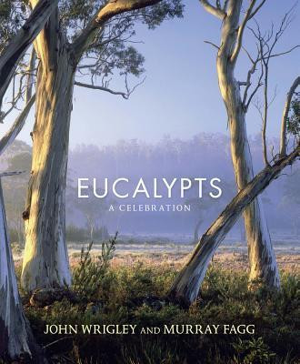 EUCALYPTS