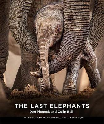 THE LAST ELEPHANTS