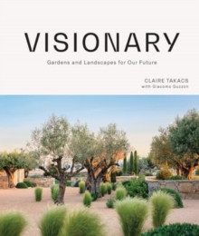 VISIONARY