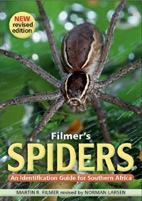 FILMER S SPIDERS