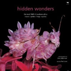 HIDDEN WONDERS