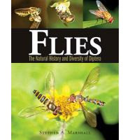 FLIES