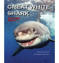 GREAT WHITE SHARK