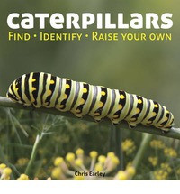 CATERPILLARS
