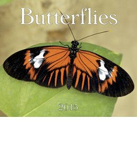 BUTTERFLIES 2015