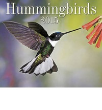 HUMMINGBIRDS 2015