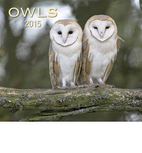 OWLS 2015