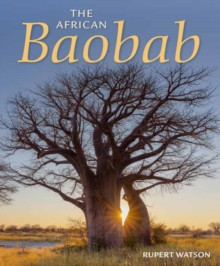 THE AFRICAN BAOBAB