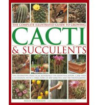 CACTI & SUCCULENTS