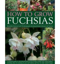 HOW TO GROW FUCHSIAS