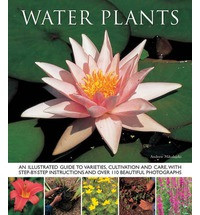 WATER PLANTS