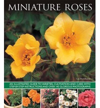 MINIATURE ROSES