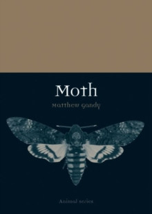 MOTH