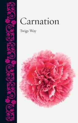 CARNATION