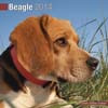 BEAGLE 2014