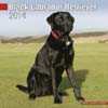 BLACK LABRADOR RETRIEVER 2014