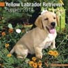 YELLOW LABRADOR RETRIEVER 2014