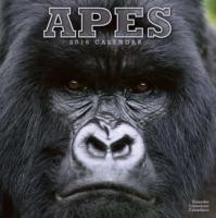 APES 2016