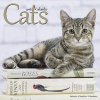 CATS CALENDAR 2016