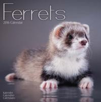 FERRETS 2016