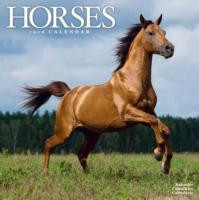 HORSES 2016