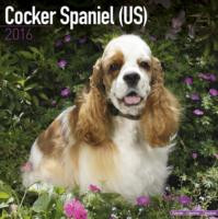 COCKER SPANIEL 2016