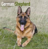 GERMAN SHEPHERD 2016