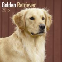 GOLDEN RETRIEVER CALENDAR 2016