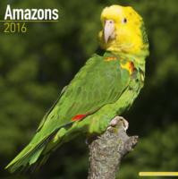 AMAZONS 2016