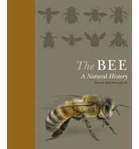 THE BEE