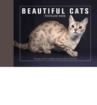 BEAUTIFUL CATS POSTCARD BOOK