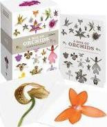 A BOX OF ORCHIDS 100 BEAUTIFUL POSTCARDS