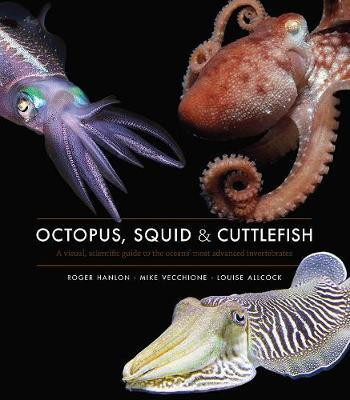 OCTOPUS SQUID & CUTTLEFISH