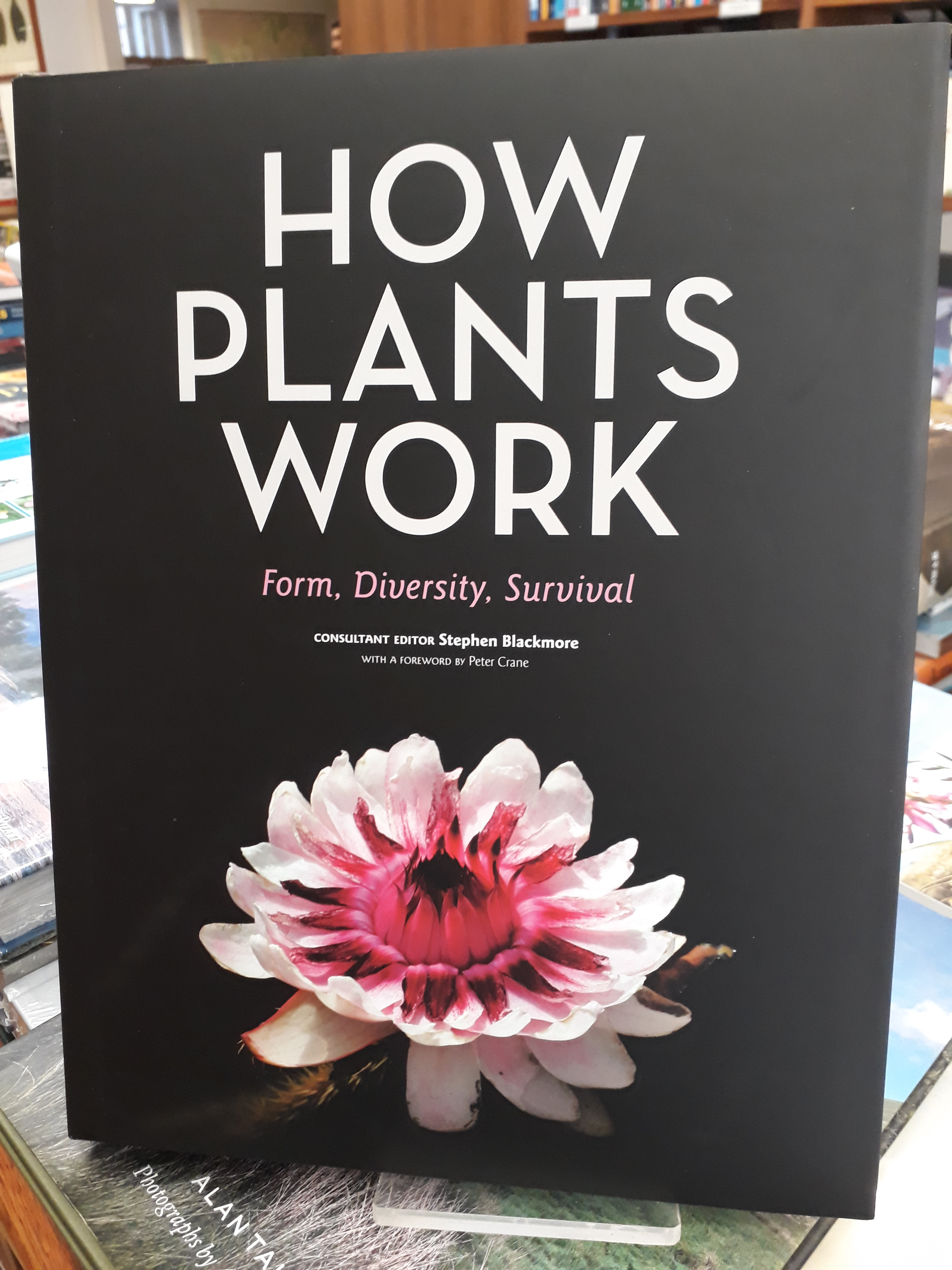 HOW PLANTS WORK