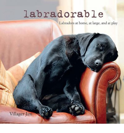 LABRADORABLE