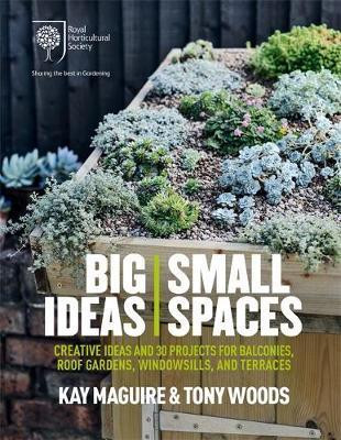 BIG IDEAS SMALL SPACES