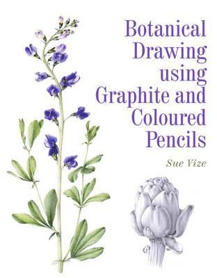 BOTANICAL DRAWING USING GRAPHITE AND COLOURED PENCILS